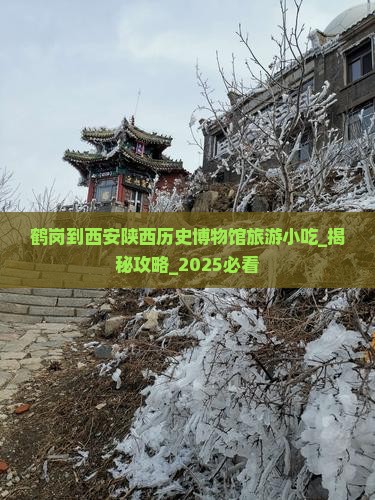 鹤岗到西安陕西历史博物馆旅游小吃
