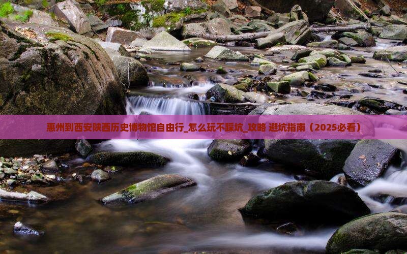 惠州到西安陕西历史博物馆自由行