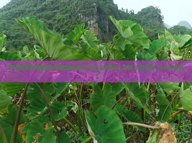 惠州到西安陕西历史博物馆自由行