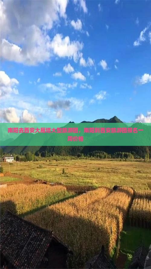 南阳去西安大雁塔大型旅游团