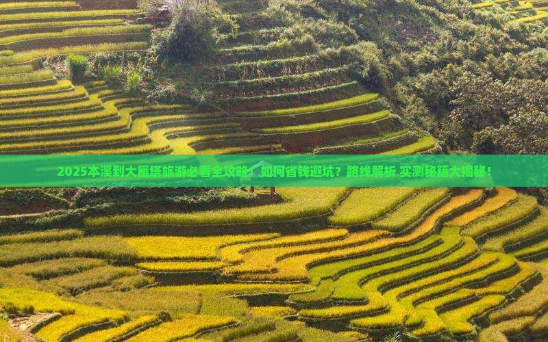 本溪到西安大雁塔旅游