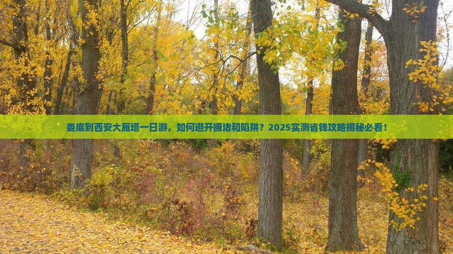 娄底到西安大雁塔一日游