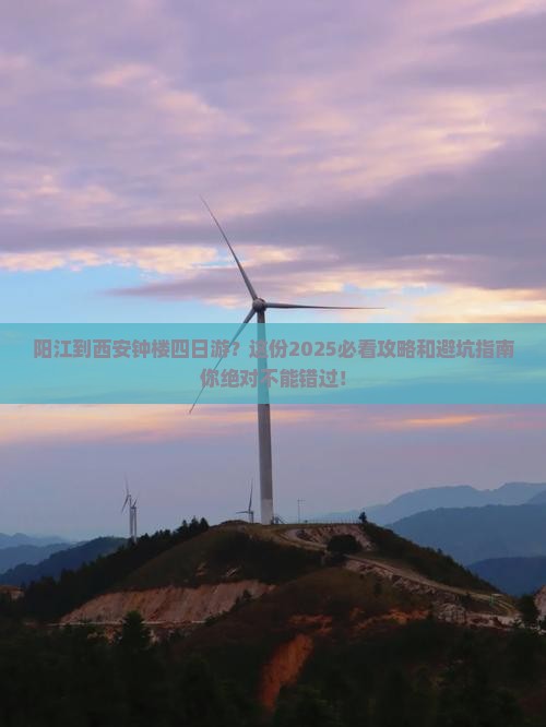 阳江到西安钟楼四日游