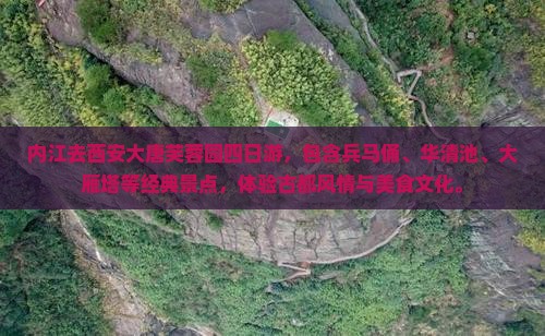内江去西安大唐芙蓉园四日游