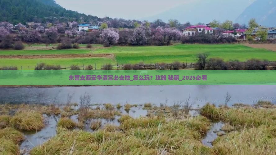 东营去西安华清宫必去地