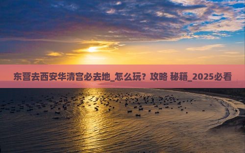 东营去西安华清宫必去地
