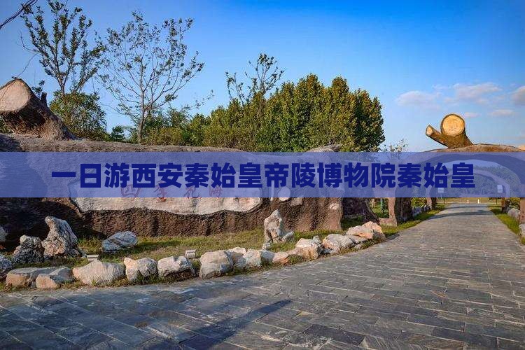 清明节去西安秦始皇帝陵博物院自由团