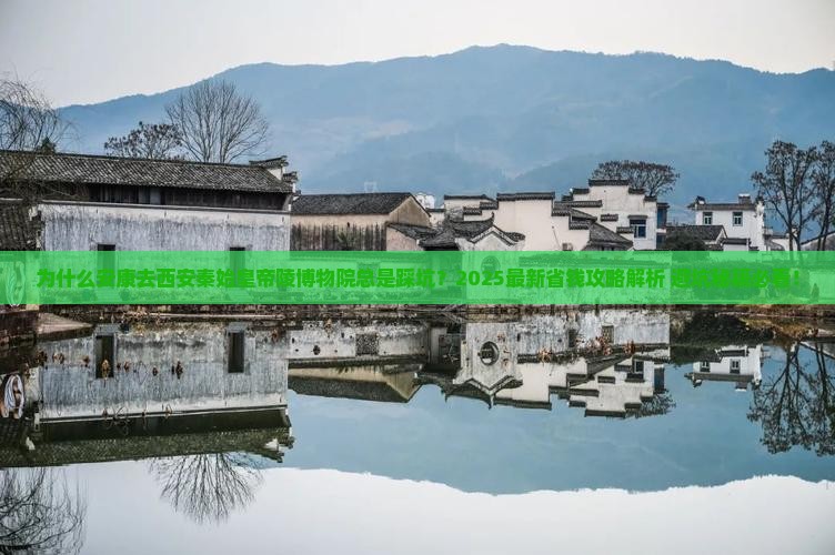 安康去西安秦始皇帝陵博物院攻略