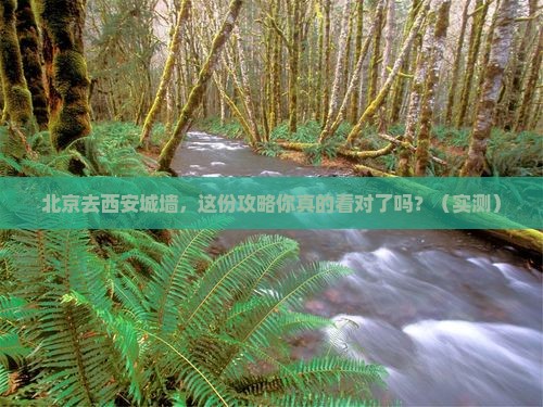 北京去西安城墙攻略