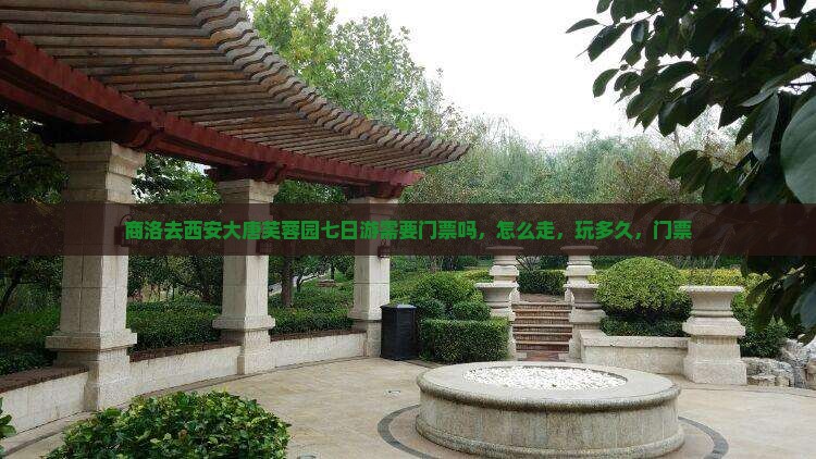 商洛去西安大唐芙蓉园七日游