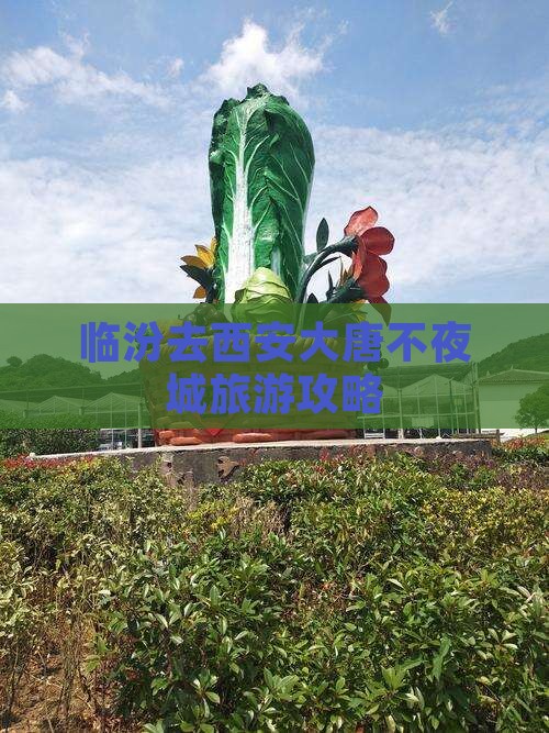 临汾去西安大唐不夜城个人游