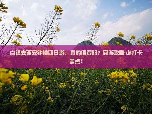 白银去西安钟楼四日游
