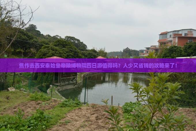 焦作去西安秦始皇帝陵博物院四日游