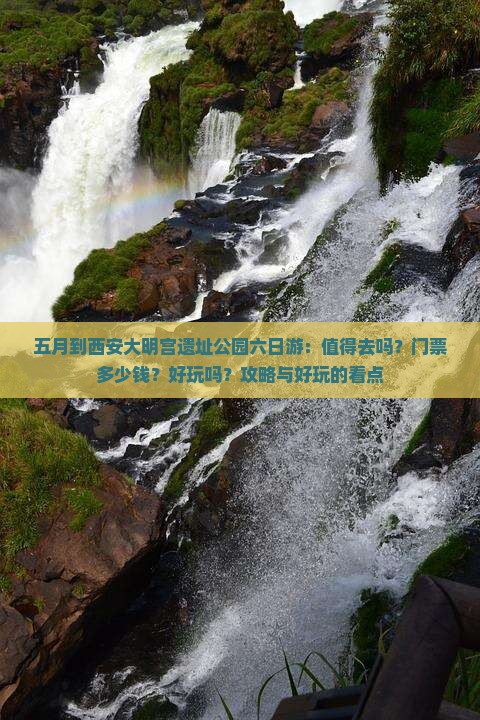 五月到西安大明宫国家遗址公园六日游