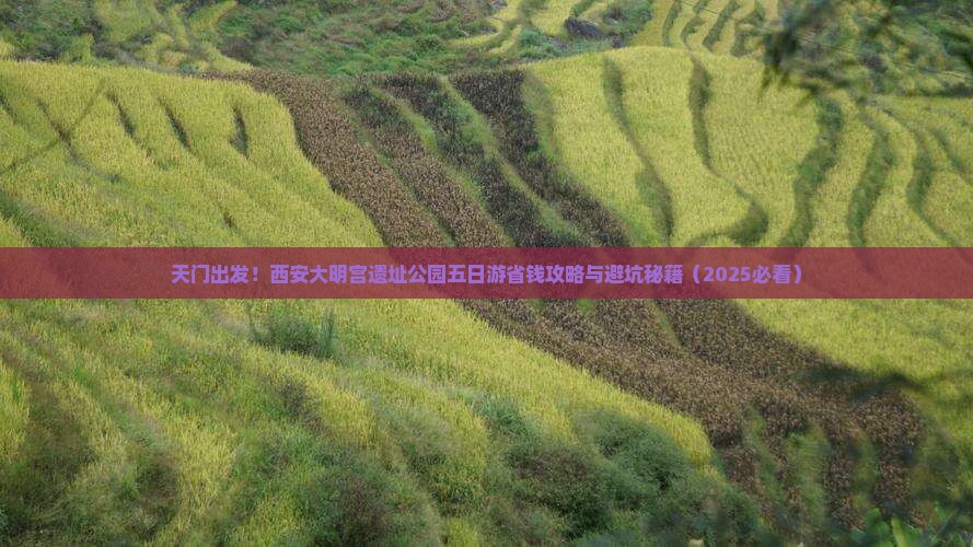 天门到西安大明宫国家遗址公园五日游
