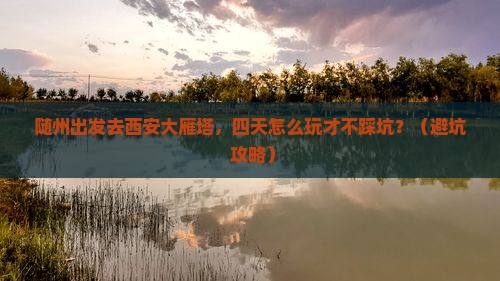 随州到西安大雁塔四日游