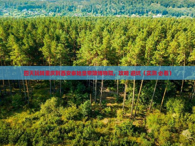 重庆到西安秦始皇帝陵博物院四日游
