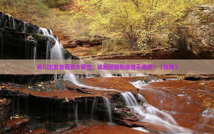 铜川到西安大明宫国家遗址公园团体旅游