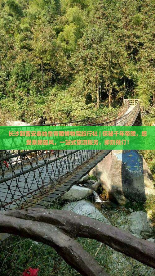 长沙到西安秦始皇帝陵博物院旅行社