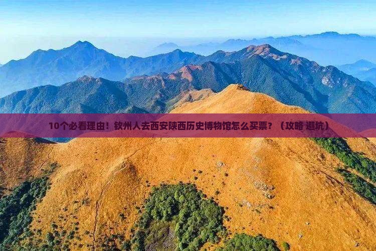 钦州去西安陕西历史博物馆门票