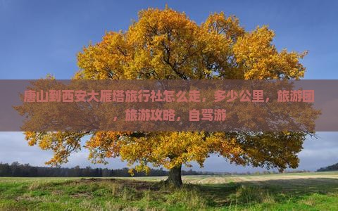 唐山到西安大雁塔旅行社