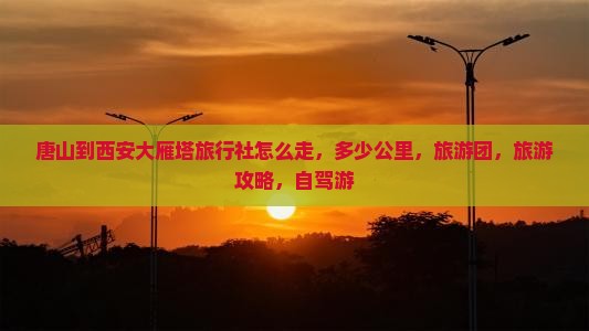 唐山到西安大雁塔旅行社