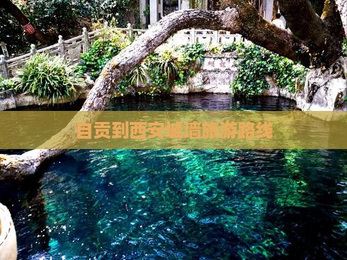自贡去西安城墙旅行社