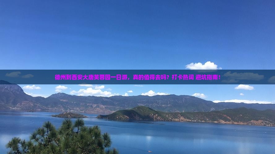 德州到西安大唐芙蓉园一日游