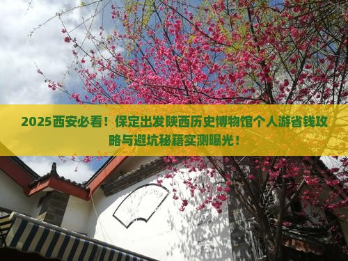 保定去西安陕西历史博物馆个人游