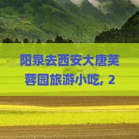阳泉去西安大唐芙蓉园旅游小吃