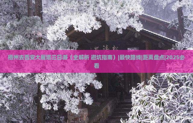 梧州去西安大雁塔三日游