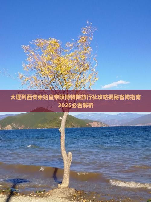 大理到西安秦始皇帝陵博物院旅行社