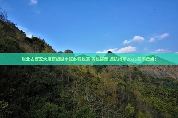 张北去西安大雁塔旅游小吃