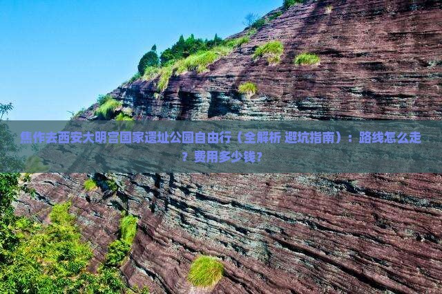 焦作去西安大明宫国家遗址公园自由行