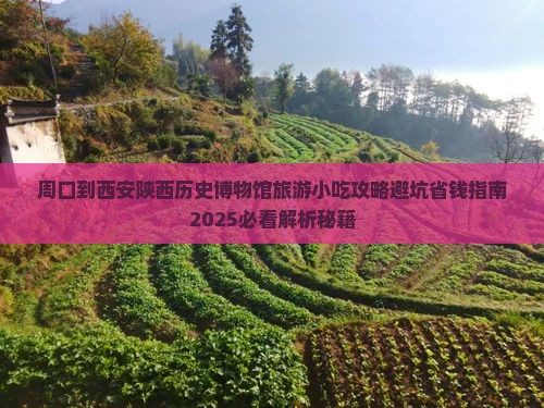 周口到西安陕西历史博物馆旅游小吃