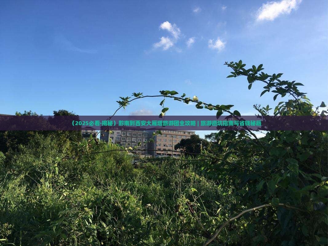 黔南去西安大雁塔大型旅游团