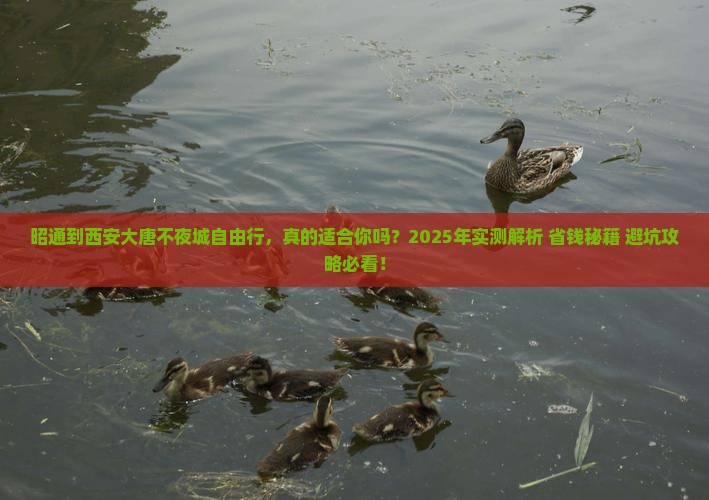 昭通到西安大唐不夜城自由行