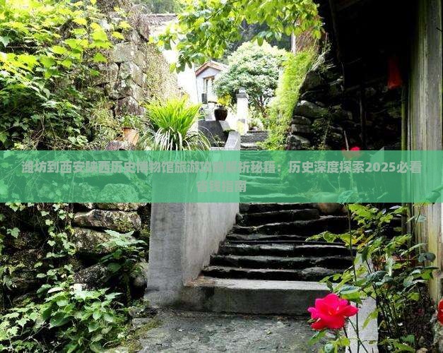 潍坊到西安陕西历史博物馆旅游