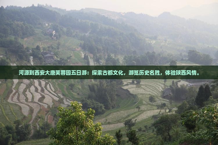 河源到西安大唐芙蓉园五日游