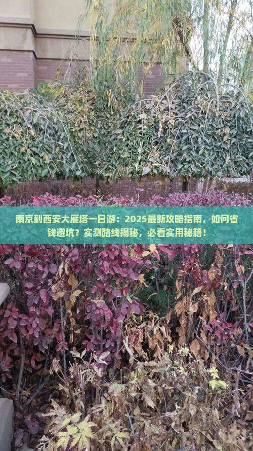 南京到西安大雁塔一日游