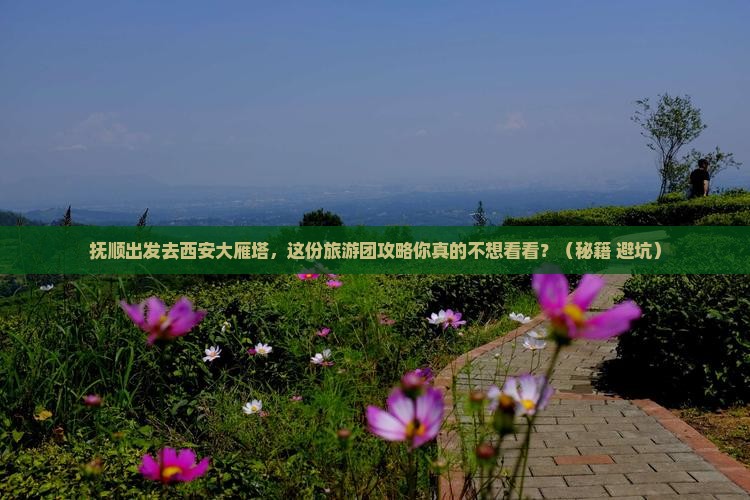 抚顺去西安大雁塔大型旅游团