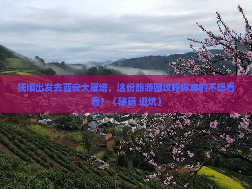 抚顺去西安大雁塔大型旅游团