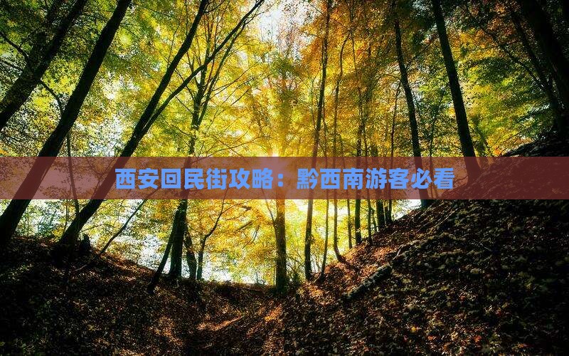 黔西南到西安回民街攻略