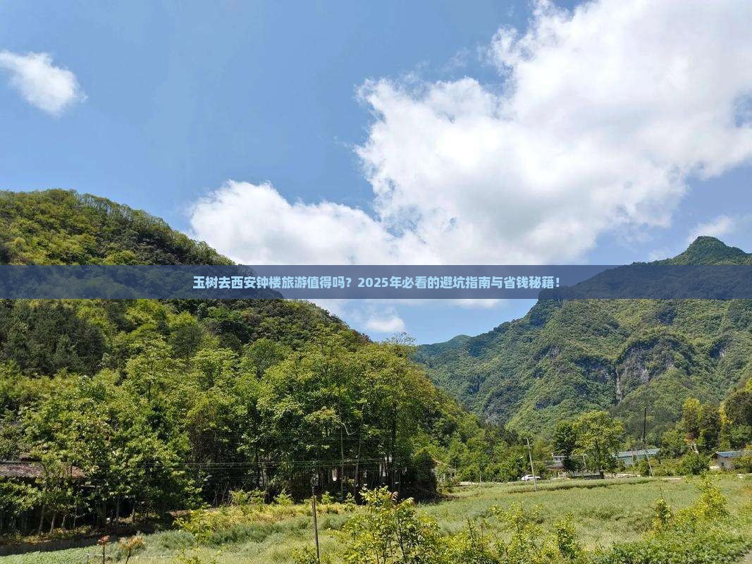 玉树去西安钟楼旅游