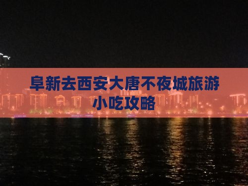 阜新去西安大唐不夜城旅游小吃