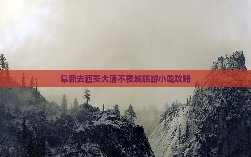 阜新去西安大唐不夜城旅游小吃