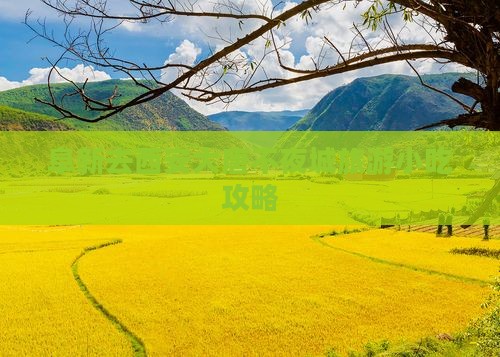 阜新去西安大唐不夜城旅游小吃