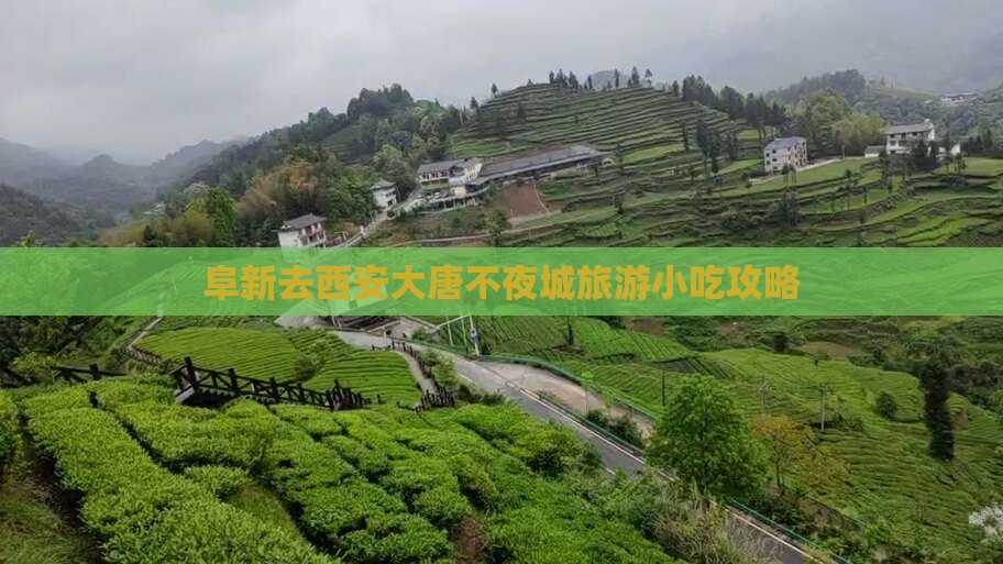 阜新去西安大唐不夜城旅游小吃