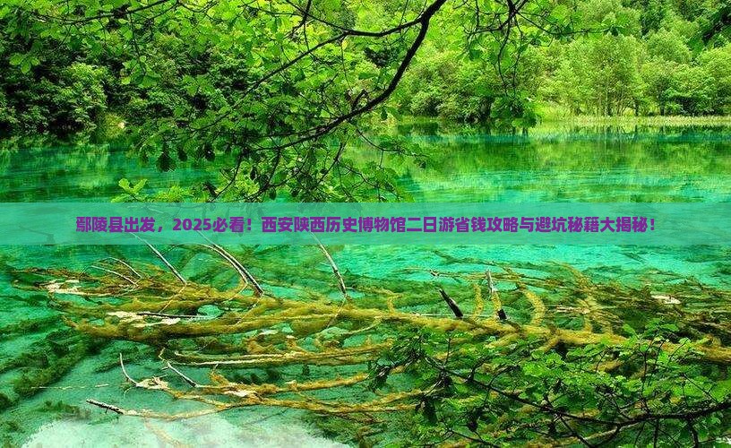 鄢陵县去西安陕西历史博物馆二日游