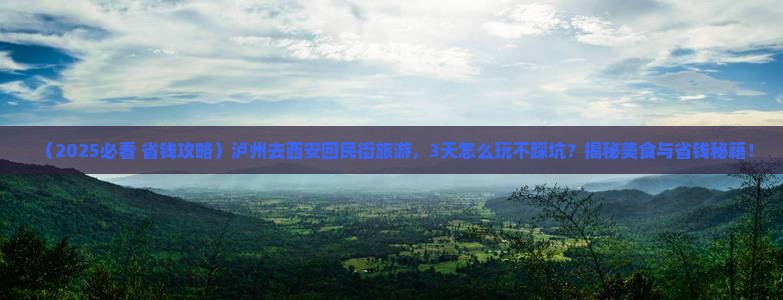 泸州去西安回民街旅游